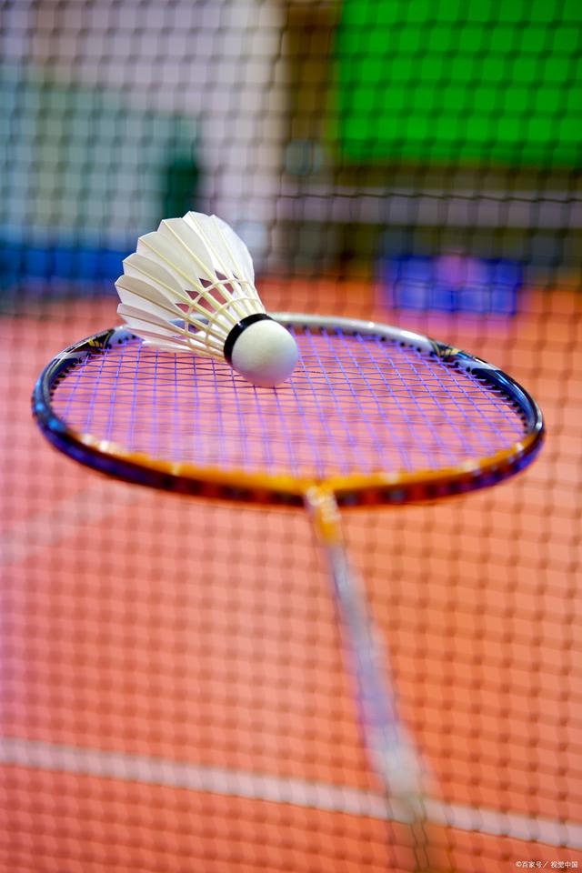 能力得到了 能力得到了