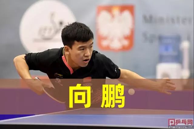 这个案例展 这个案例展