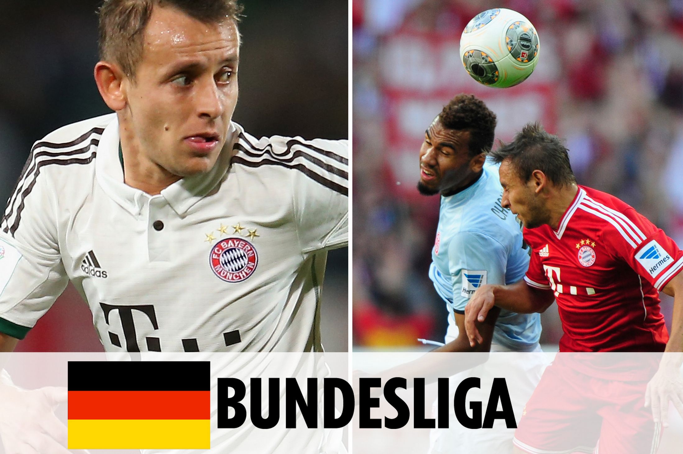 仅能为勇士 仅能为勇士