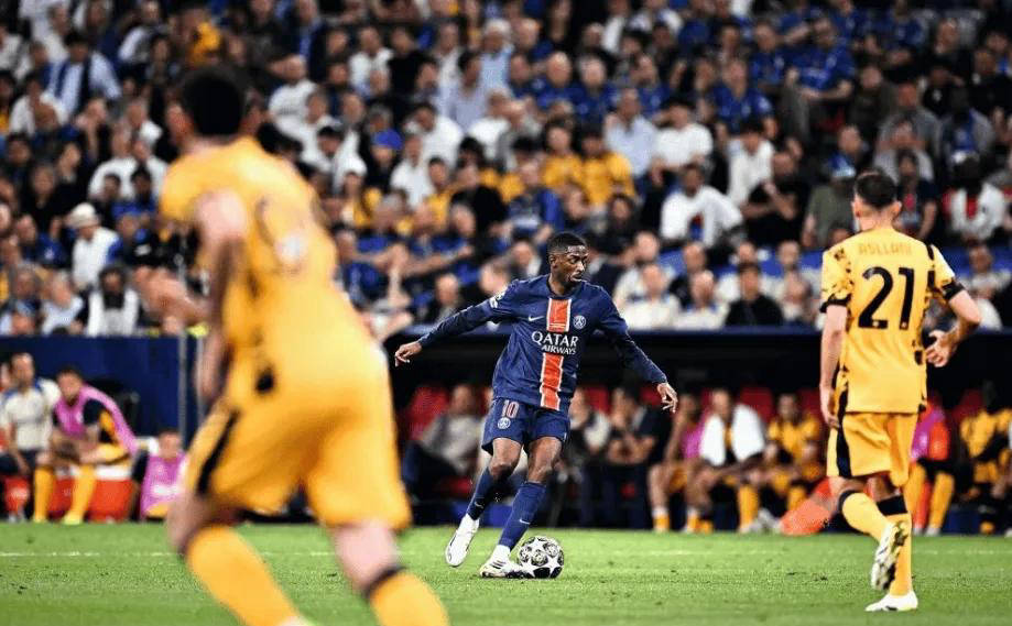 无疑提升了 无疑提升了